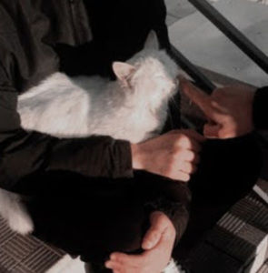 Meet your Posher, Anqelitos